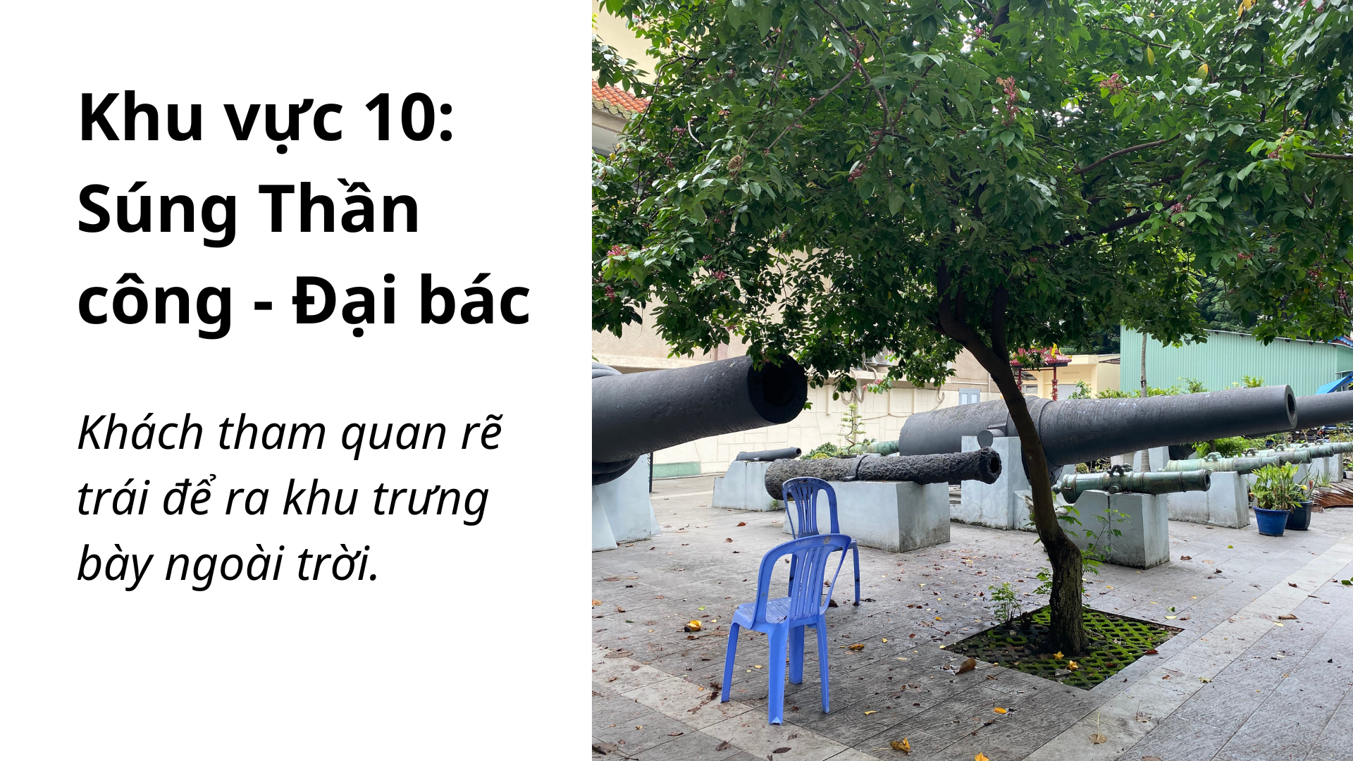 Khu vực 10: Súng Thần công - Đại bác