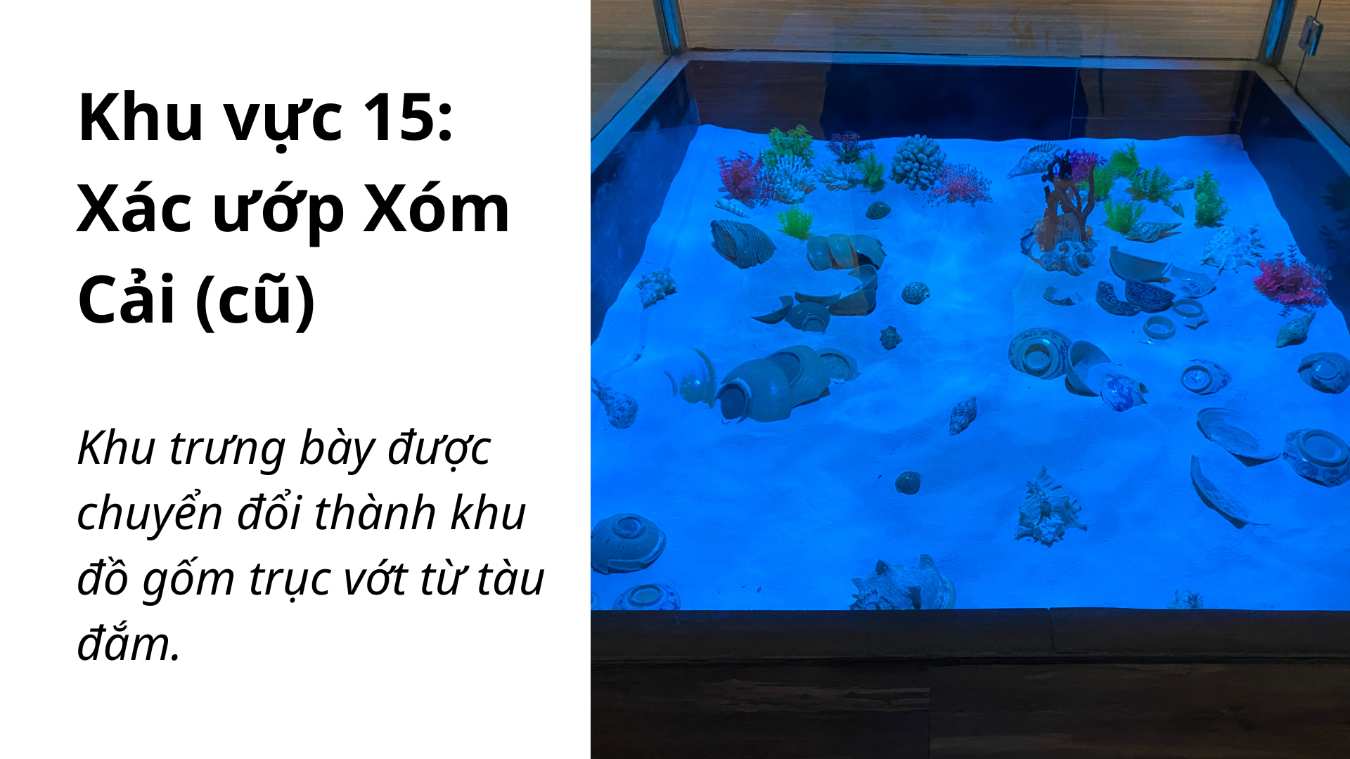 Khu vực 15: Xác ướp Xóm Cải
