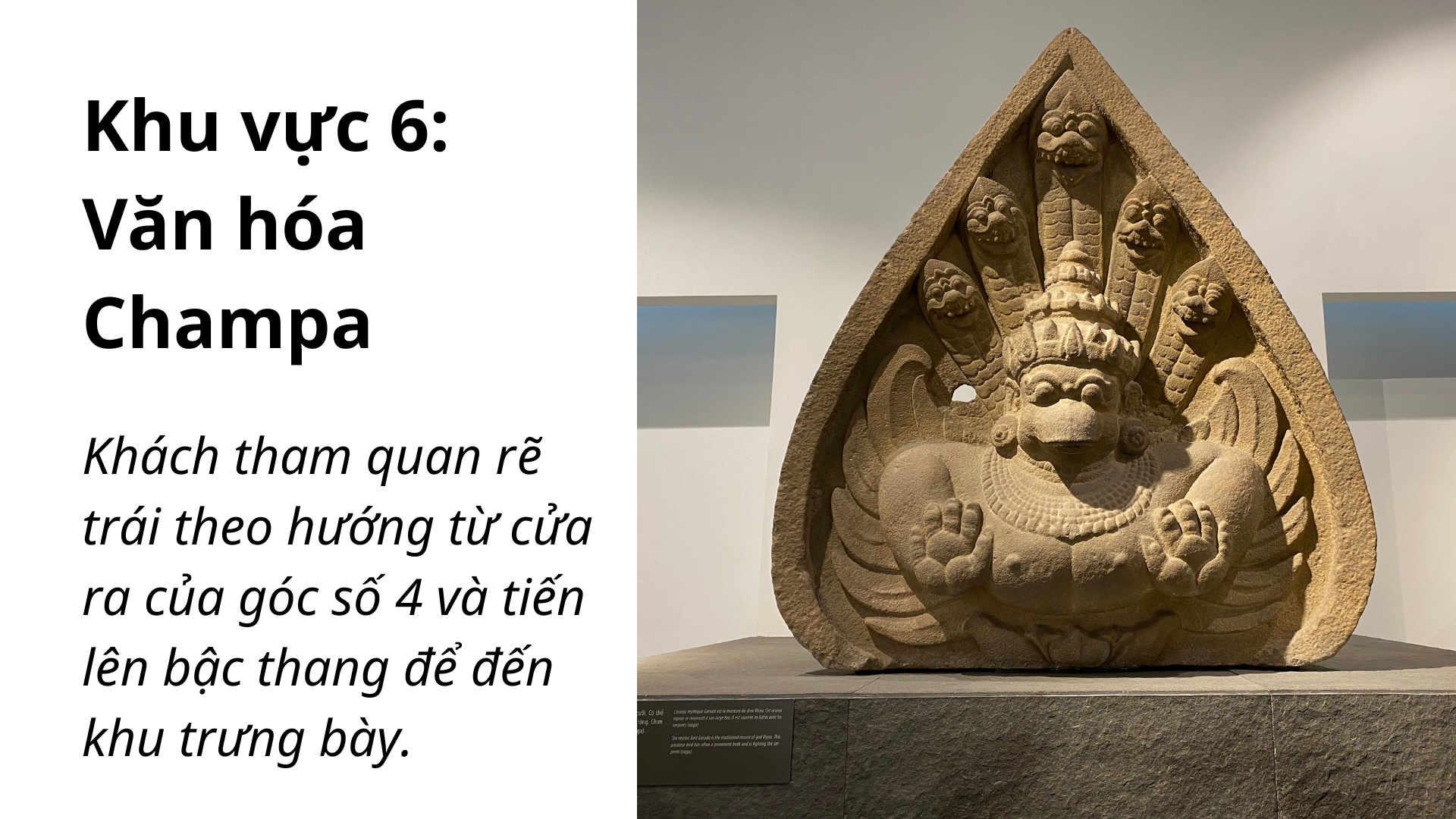 Khu vực 6: Văn hóa Champa
